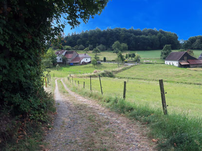 Blick auf den Weiler Knoden im Odenwald