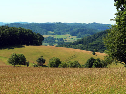 Sdlich von Seidenbuch westlicher Blick