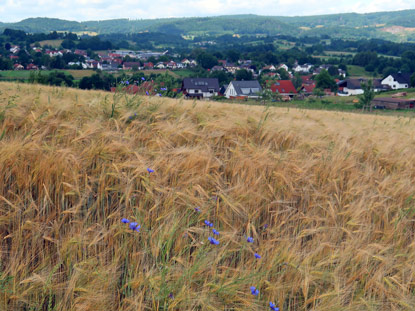 Rckblick auf Lrzenbach im Weschnitztal