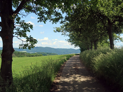 Auf dem Wanderweg von Erlenbach nach Lautern-Weschnitz