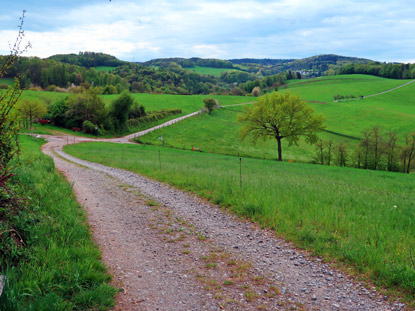 Kammweg zwischen Weiher und Vckelsbach