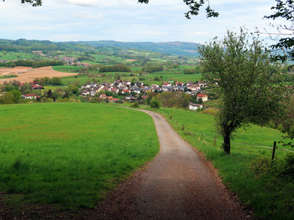 Weiher im Odenwald