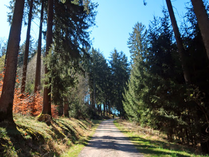 Auftieg auf den Hardenberg im Odenwald