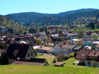 Blick auf Heiligkreuzsteinach