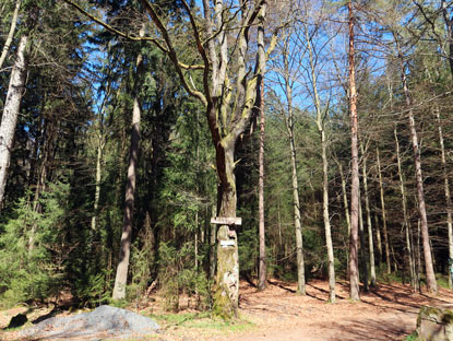 Hohenpder Hhe, hir laufen 6 Wanderwege zusammen.