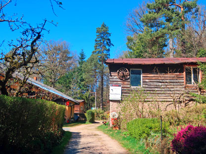 Stierfelhtte im  Odenwald