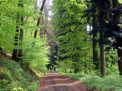 Siebenbrunnenweg 