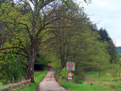 Aufsteig vom Hilsbachtal zur Linden-Htte