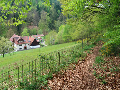 Abstieg von Heiligkreuzsteinach kommend in das Hilsbachtal