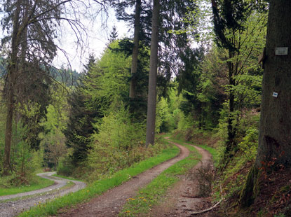 nach der Linden-Htte  auf dem Hhenweg