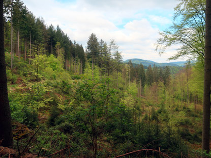Blick auf die Hgel des Odenwaldes unterhalb dr Linden-Htte