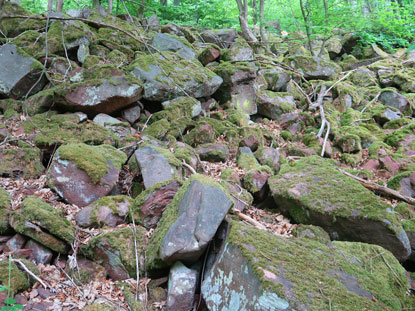 Eehemaliger Steinbruch an der Neckarhalde