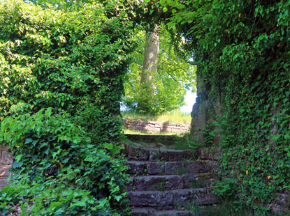 Geschichter der Burg Reichenstein ist weitgehend ungeklrt
