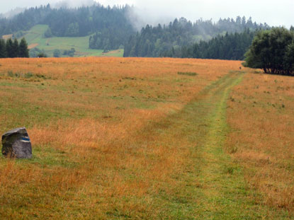 Zips: Durch die Mitte der Hala Majerz fhrt der blau markierte Wanderweg. Aufgrund des Regenwetters war die Sicht beschrnkt.