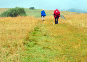 Wanderweg ber die Bergwiese Hala Majerz