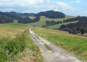 Jurgowskie-Alm, im Hintergrund  Schfersiedlung Jurgowkie Stajnie