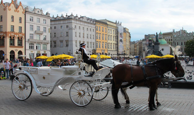 Kutschen auf dem Rynek von Krakau warten auf Kundschaft für eine Stadtrundfahrt.