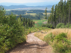 Aufstieg zur Lesista Wielka (Hohe Heide)