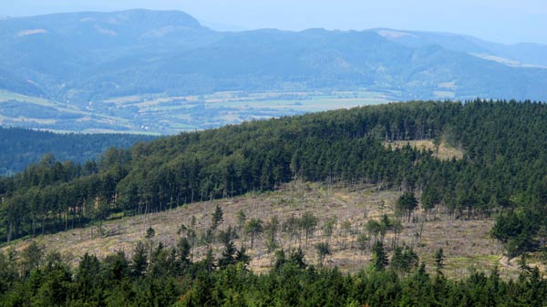 Aussicht vom Bismarckturm in westlicher Richtung (Waldenburger Bergland)