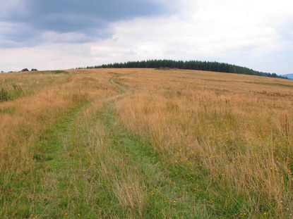 Oberhalb von Komancza am europischen Fernwanderweg E8 ist die Hochflche Wahalowski Wierch
