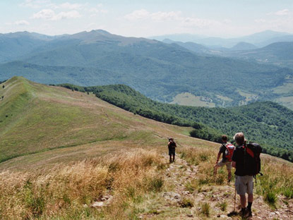 Die polnischen Waldkarpaten sind fr ihre baumlose Gipfel (Połonina ) bekannt