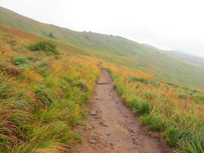 Ab ca. 1.100 m beginnt in den Waldkarpaten die baumlose Połonina 