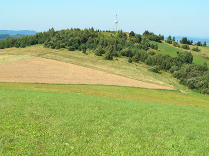 Vom Berg Łysa Gra wandert man ber eine freie Flche zum Grzywacka Gra 