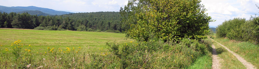 Der Beskiden-Hauptweg verluft ab Komańcza durch die Niederen Beskiden (Beskid Niski) 