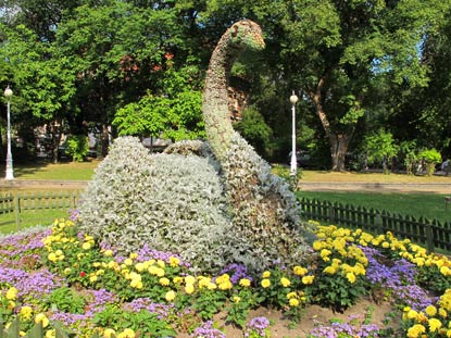 Der Schwan, im Zentrum des Kurparks ...... 