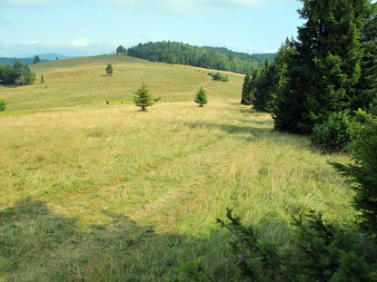 Der Bergsattel bildet die Grenze zwischen Polen und der Slowakei