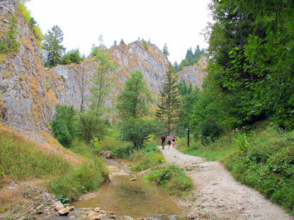 Die Homole-Schlucht hat bis zu 120 m hohe Kalkwnde .