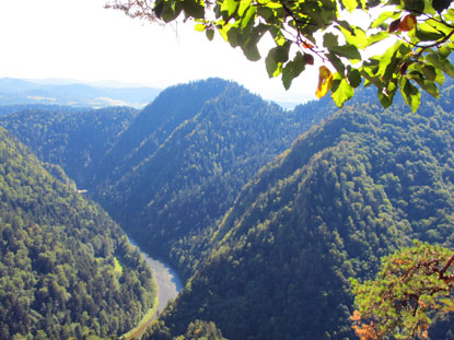 Vom 772 m hohen Czertezik blickt man auf den Dunajec (Dunajetz) - Durchbruch