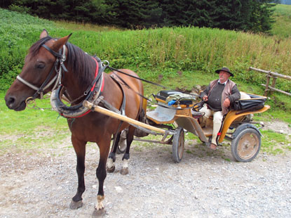 Ein Goralen-Fiaker wartet auf Kundschaft 