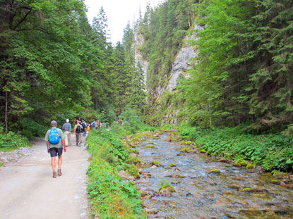 Der Rw Kościeliski Bach begleitet bis zum Talende 