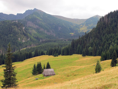 Im Hintergrund der Kasprowy Wierch (1.987 m)