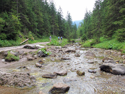 Der Wanderweg verluft entlang des Strążyski Potok
