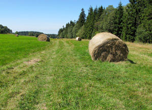 Hochplateau bei Pasterka (Passendorf) 