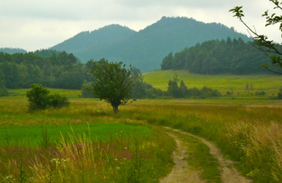 Das Gebirge Rudawy Janowickie (Landeshuter Kamm) mit den Gry Sokole (Falkenberge)