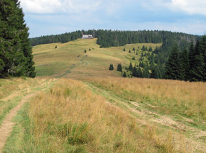 Długa Hala (Lange Heide) mit der Schronisko na Turbaczu 