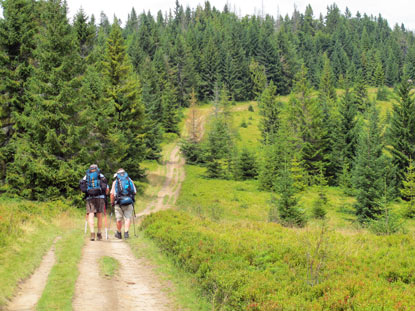 Hochplateau an der Hala Mlyńska, unterhalb des Berges Kiczora  