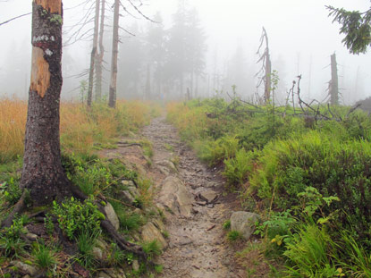 Nebel herrschte am Folgetag auf dem Turbacz.