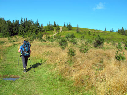 Ein mrchenhafter Wanderweg auf der Alm "Hala Krupowa"