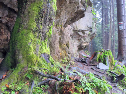 Ab dem Przełęcz Kubalonka-Pass (758 m) hatten wir auf dem rot markierten Weg festen Untergrund