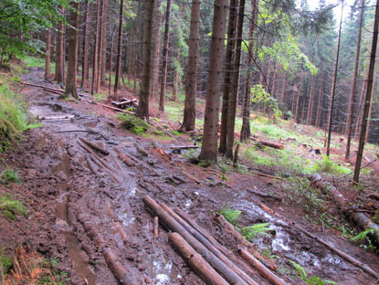 Je weiter wir uns vom Pass entfernten, um so verschlammter und mit groen Pftzen berster wurde der Weg