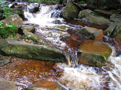 Die Czarna Wisełka (Schwarze Wiselka) ist erreicht. Sie bildet mit der Biała Wisełka (Weien Wiselka) die Weichsel