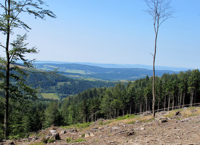 Blick ins Tal nach Walim (Wstewaltersdorf)