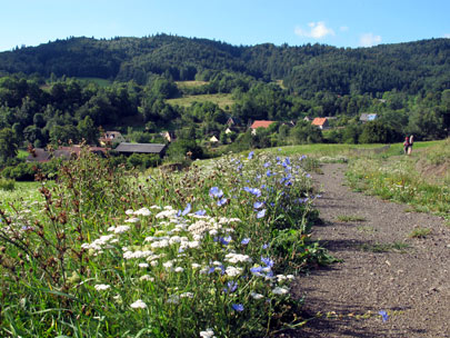 Der Ort Żdanw (Herzogswalde) im Gry Bardzkie (Warthaer Gebirge)