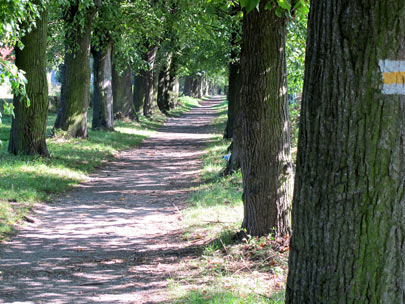 Auf dem gelb markierten Wanderweg geht es entlang dem Bach Pośna (Posna) 330 Hhenmeter hinauf nach Pasterka (Passendorf)