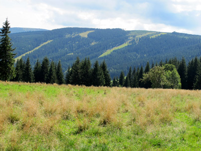 Am Przełęcz Puchaczwka (Puhu-Pass) sahen wir uns heutiges Ziel: der 1.205 m hohe Czarna Gra (Schwarzer Berg) 