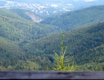 Blick vom  872 m hohen Jawornik Wielki (Gro Geyersberg) nach Złoty Stok (Reichenstein)